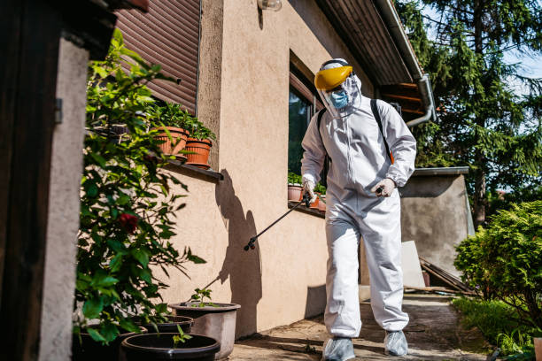 Best Pest Control Near Me in Newcastle, WA