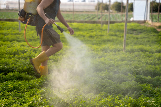 Best Mosquito Control Services  in Newcastle, WA