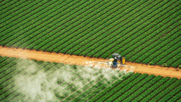 Best Affordable Exterminators  in Newcastle, WA