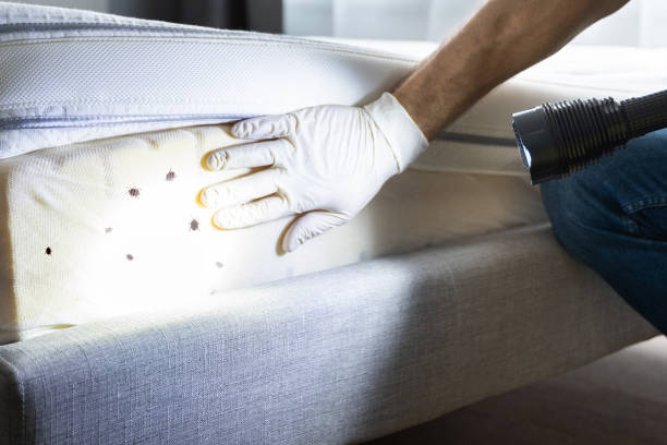 Best Best Pest Control Companies  in Newcastle, WA
