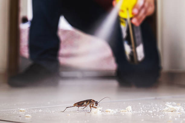 Best Residential Pest Control  in Newcastle, WA