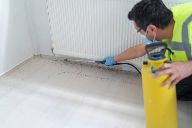 Best Emergency Pest Control  in Newcastle, WA